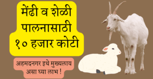 10,000 crore loan will be disbursed for sheep and goat rearing, headquarters at Ahmednagar